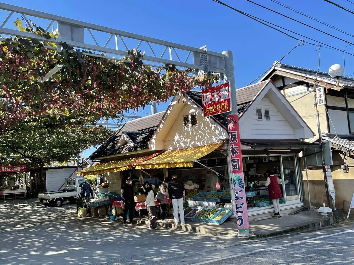 画像63