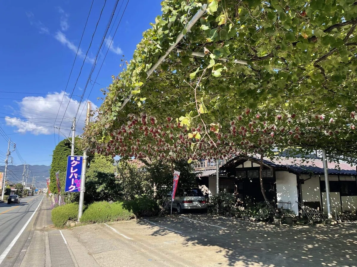 画像65