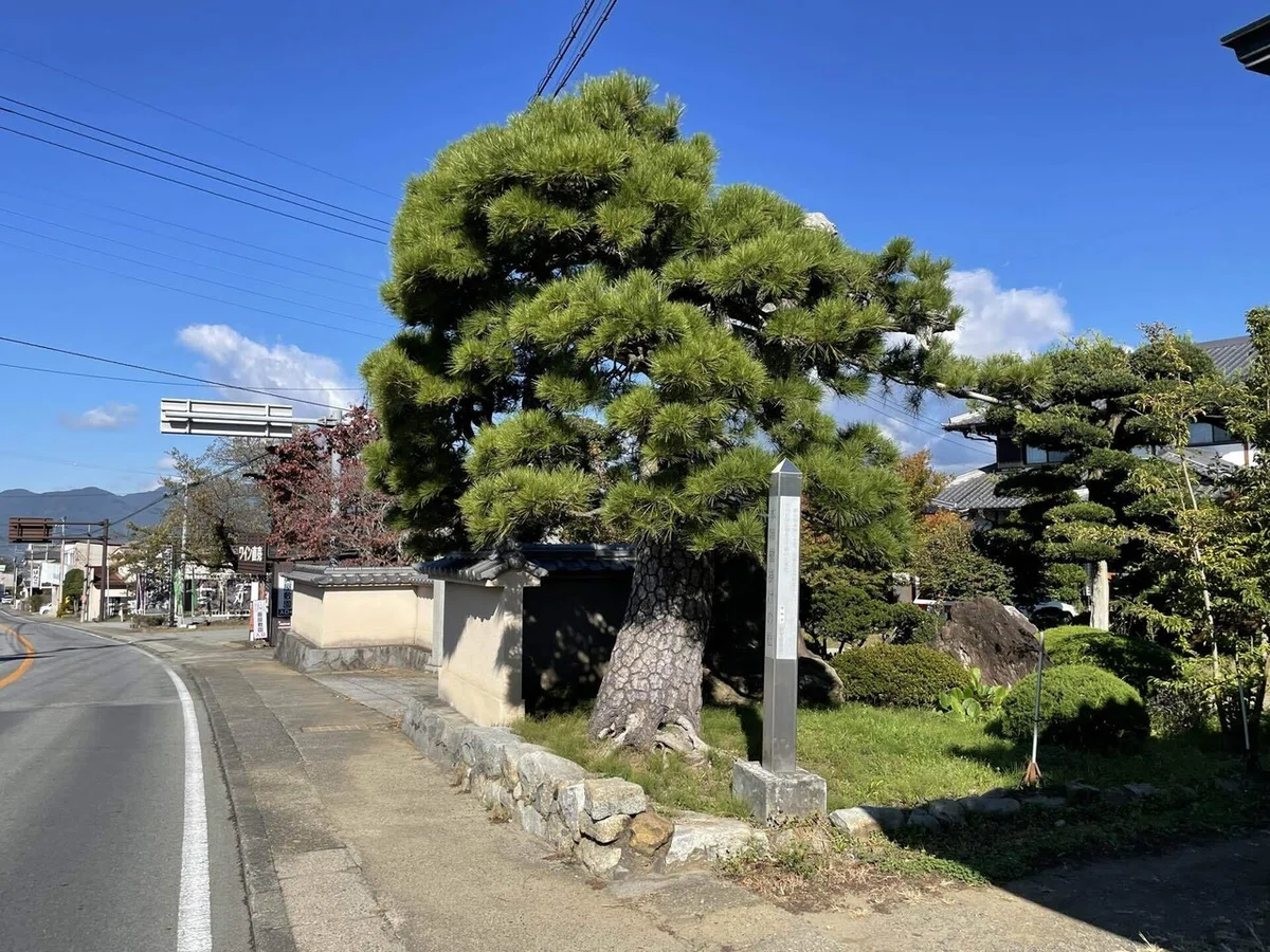 画像93