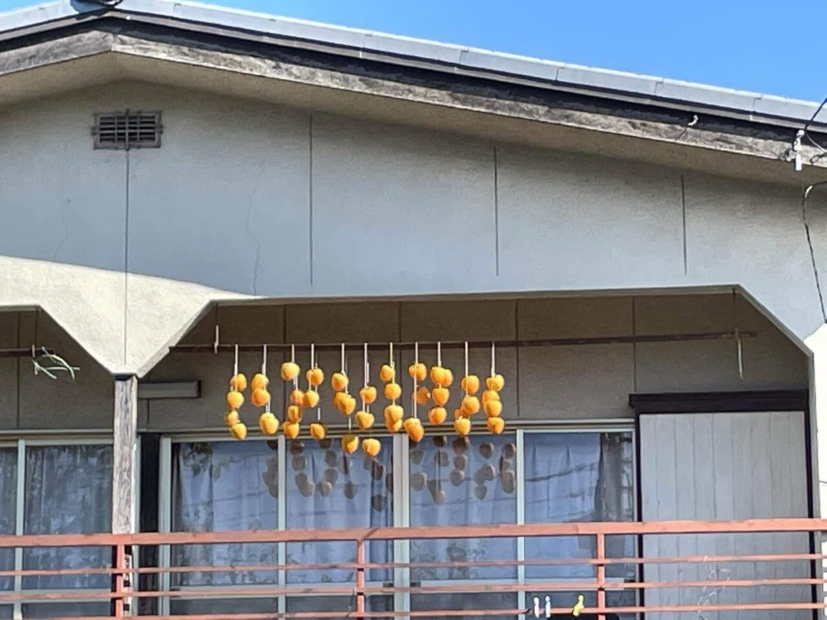 画像104