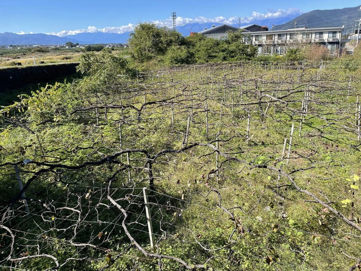 画像121