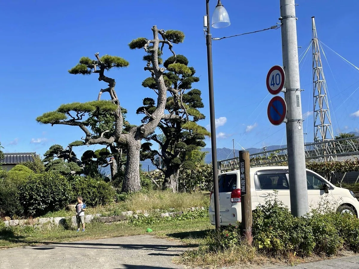 画像133