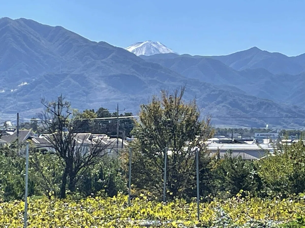 画像142