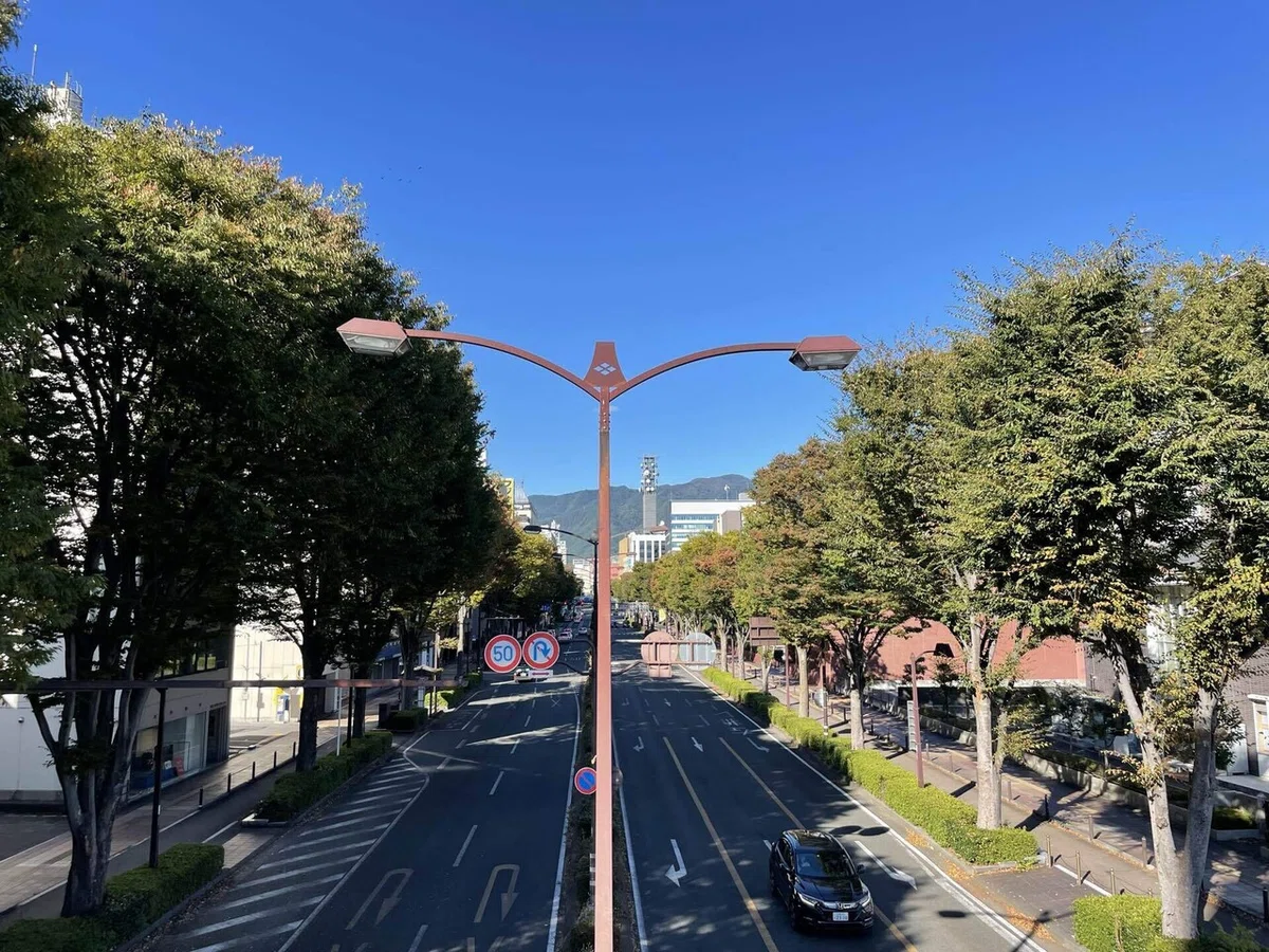 画像207