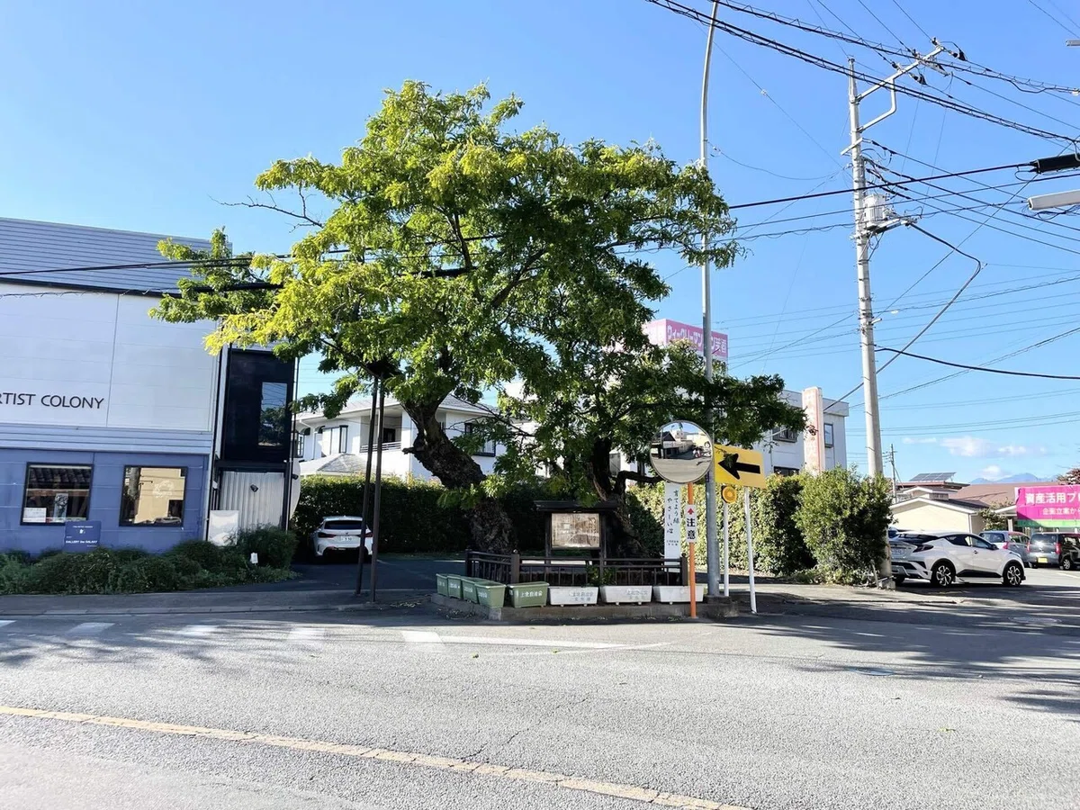 画像214