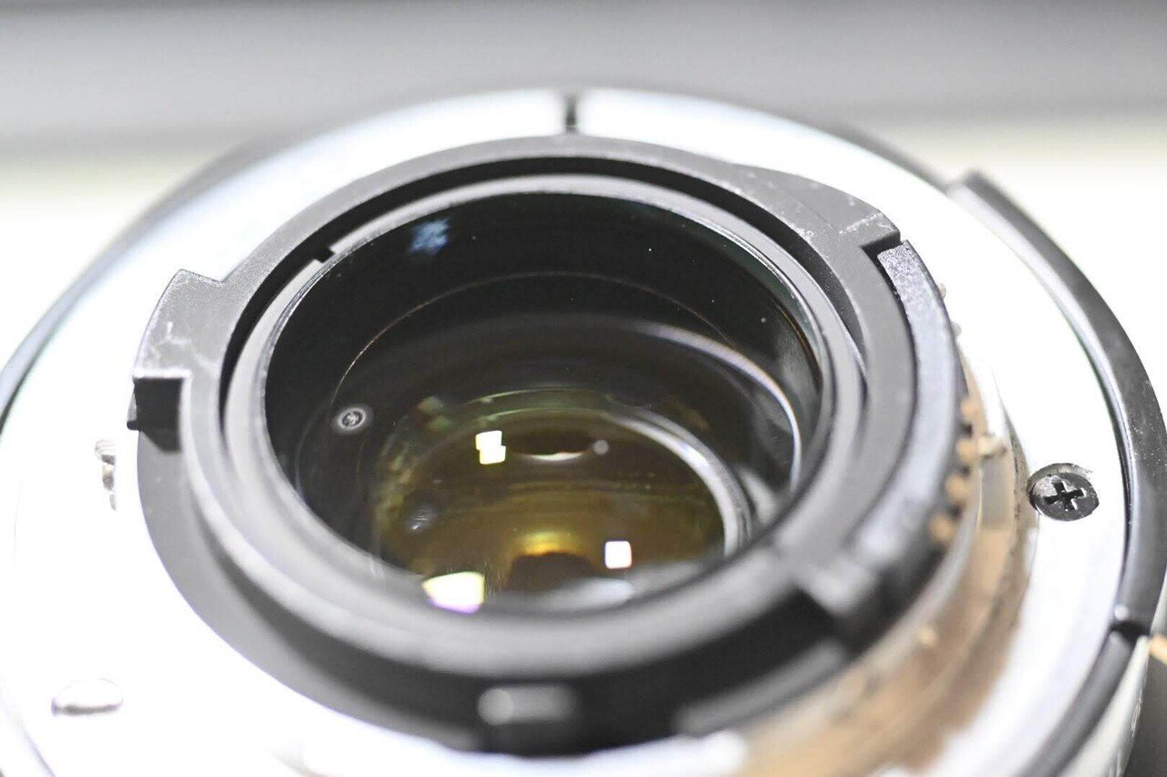 Ai AF Micro-Nikkor 60mm F2.8Sを整備して,スナップ写真を撮っ Ai AF Micro-Nikkor 60mm F2.8Sを整備して,スナップ写真を撮っ