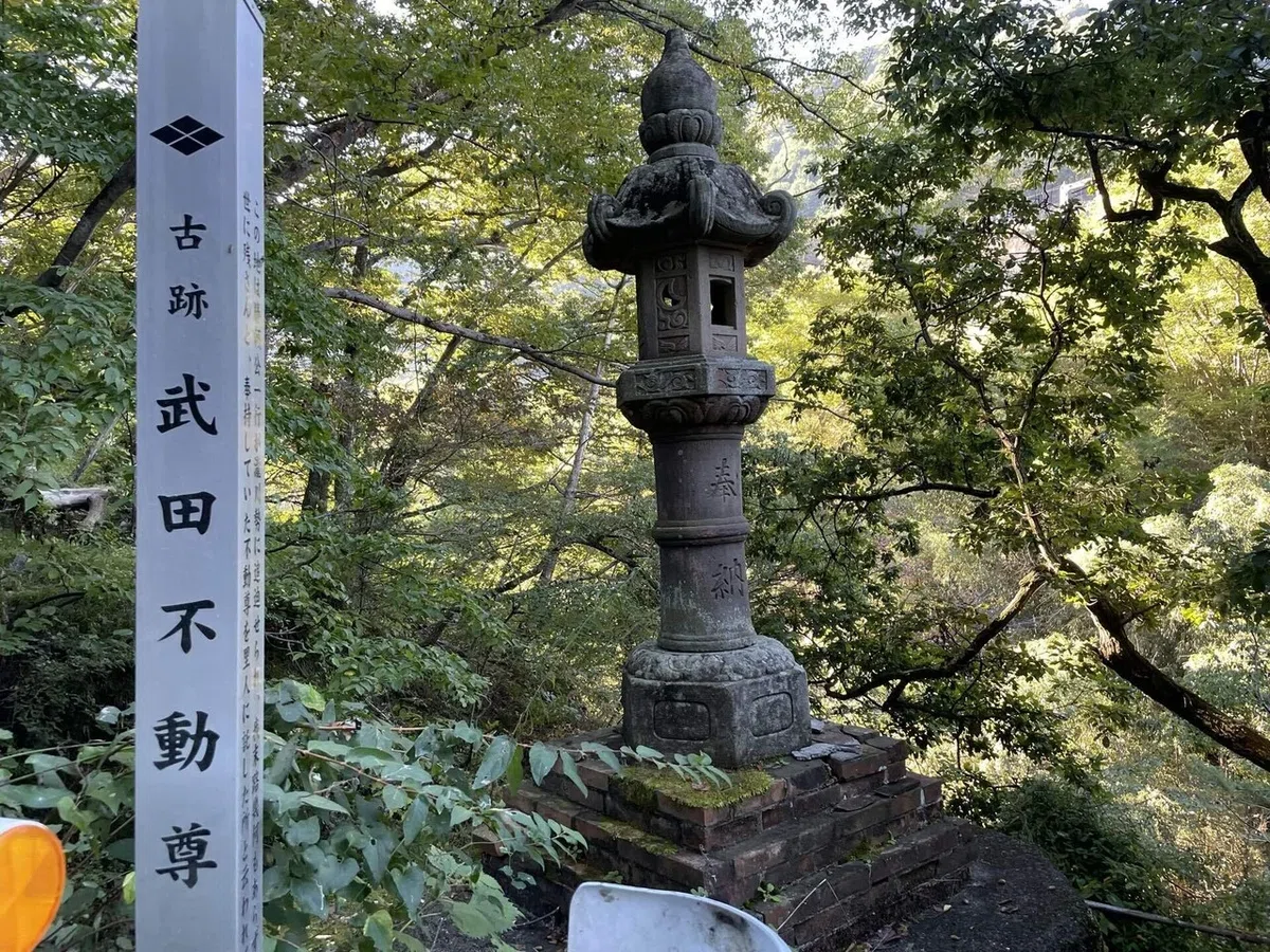 画像241