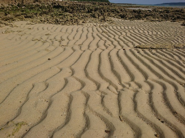 大潮直後の引き潮の時間に、西浜崎の西端へ。
砂地に波紋がきれいに残ってた！