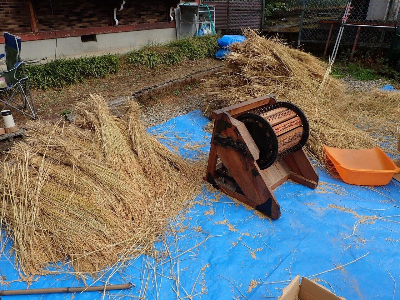 大正レトロな脱穀作業を体験してみたら 現代のコンバインと本質的に同じ仕組みだった みっちー くらどに屋 Note 大正レトロな脱穀作業を体験してみたら 現代のコンバインと本質的に同じ仕組みだった みっちー くらどに屋 Note