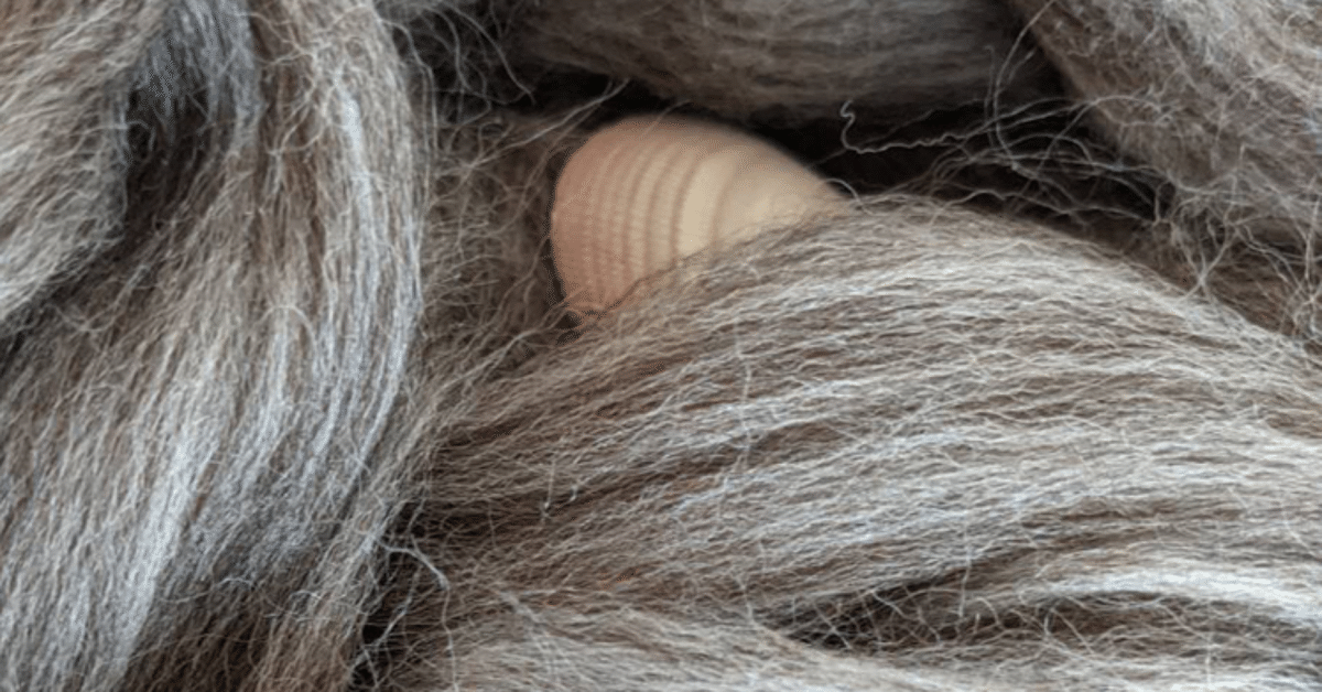 羊が見た海｜EDANE／TOPOLOGY 