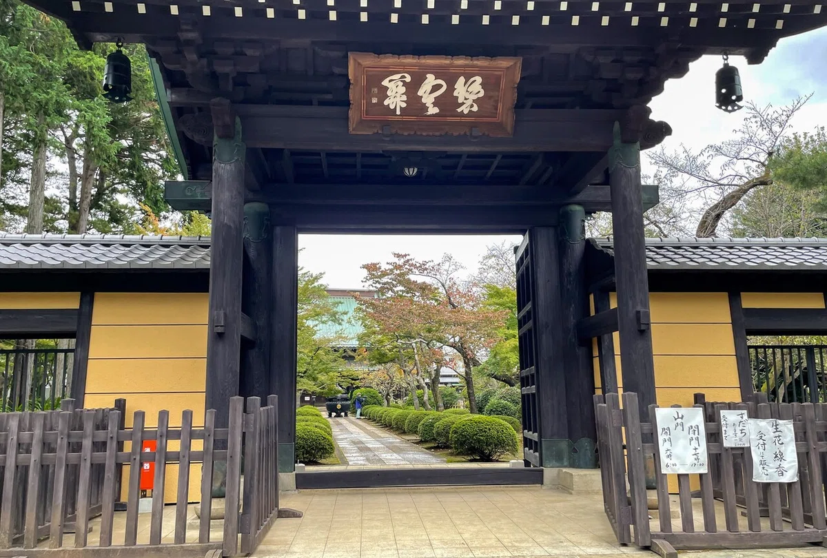 画像7