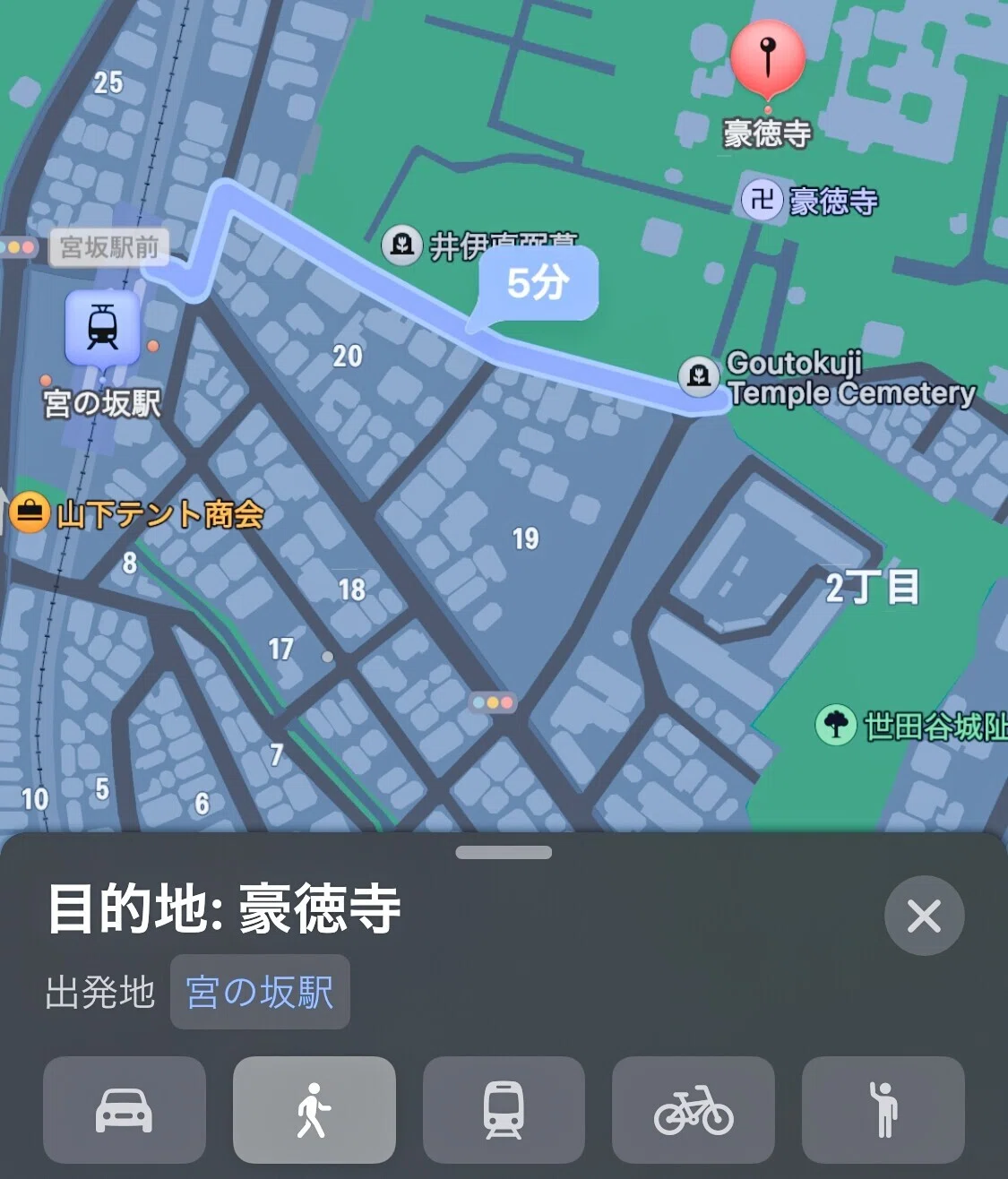 画像8