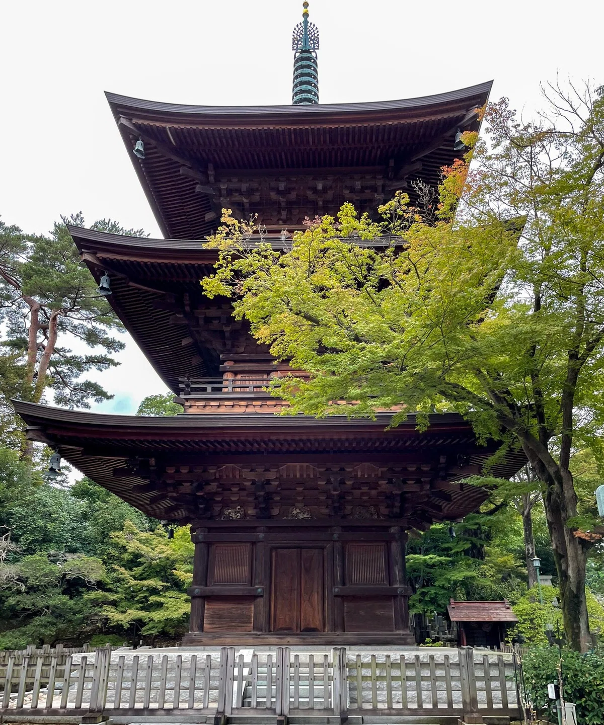 画像11