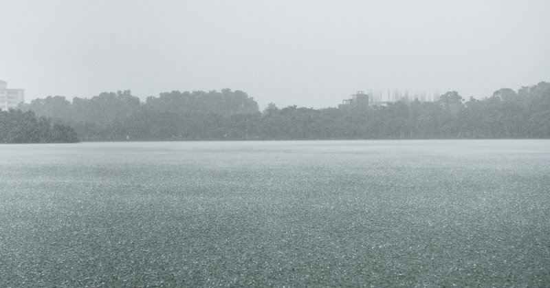 贄の雨傘