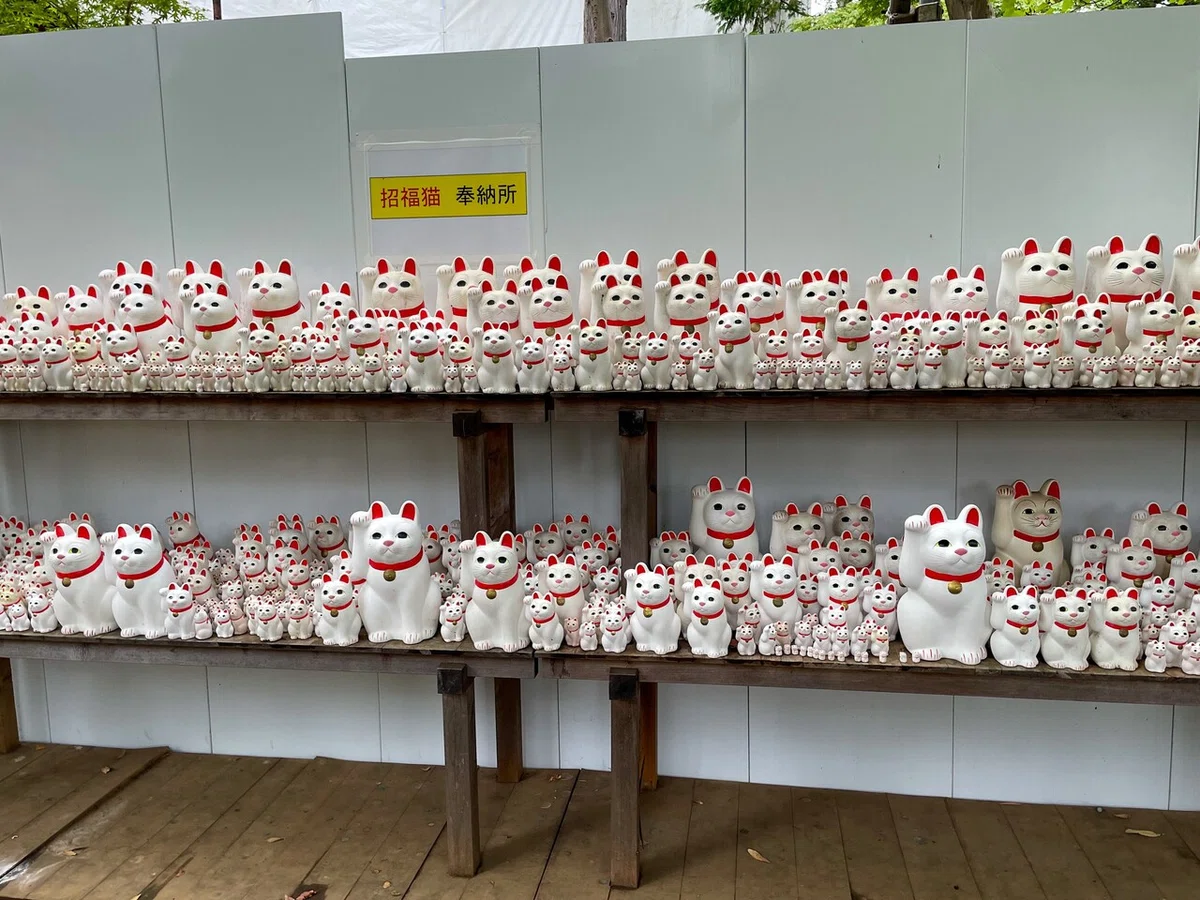 画像16