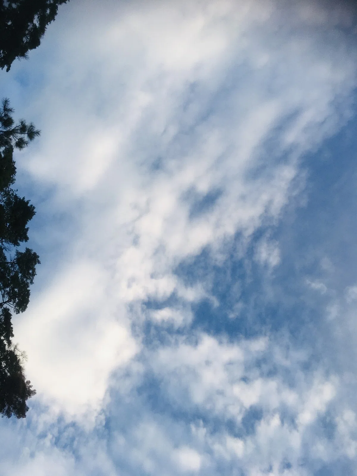 画像54