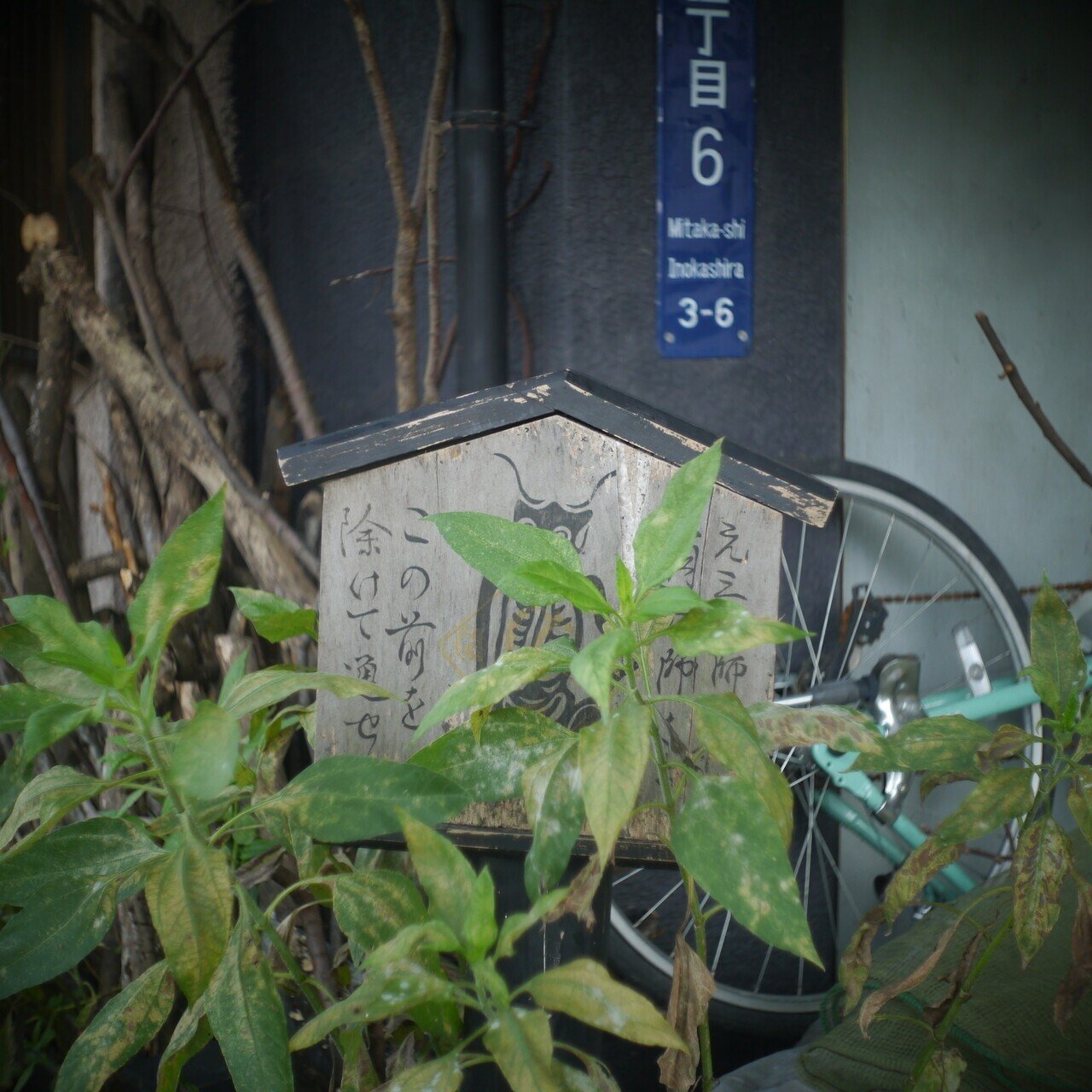 Carl Zeiss Jena Biotar 25mm F1.4｜soba_tzuyu