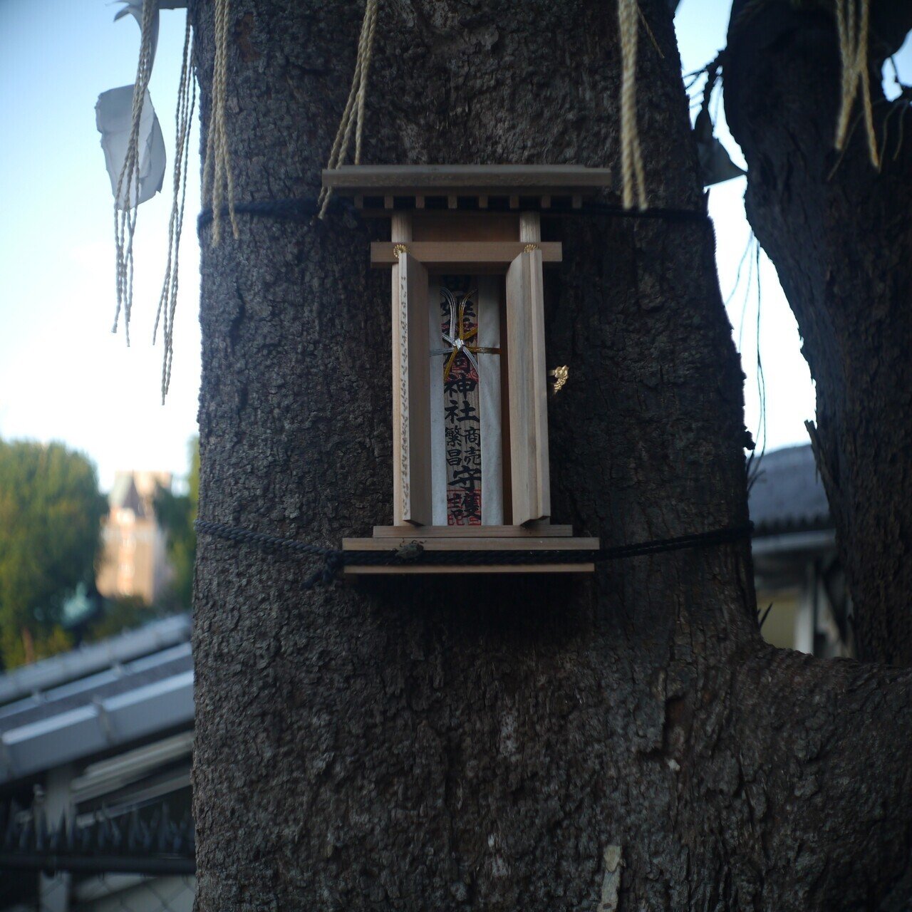 Carl Zeiss Jena Biotar 25mm F1.4｜soba_tzuyu