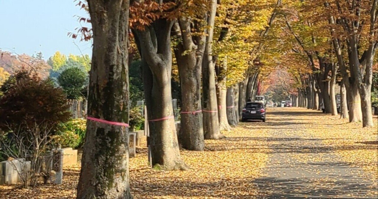 【時間指定不可】 詩】秋の散歩道｜千求麻也 絵画