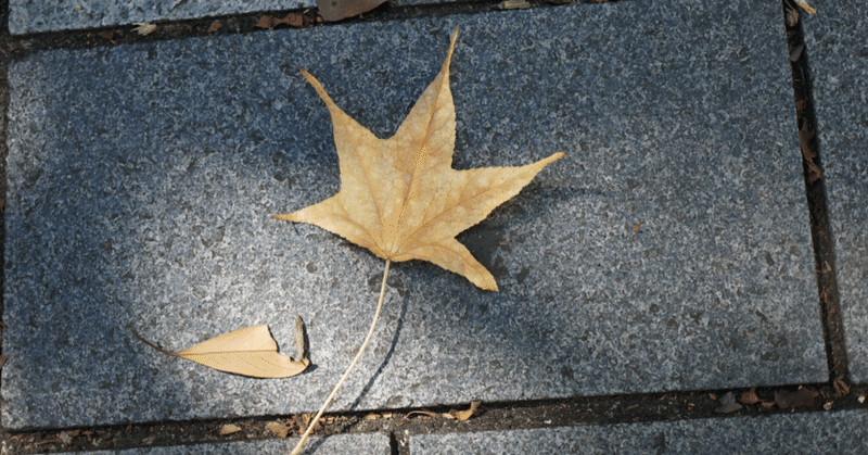 もう実際問題あかんと思った時点でもうあかんわ｜ぐっち｜note