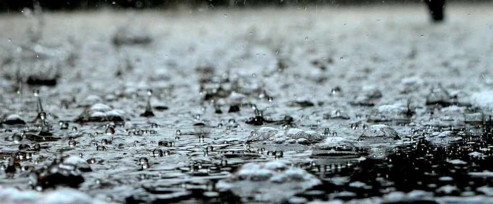 雨が降るということ そして俳句にまつわる 丸田洋渡 Note