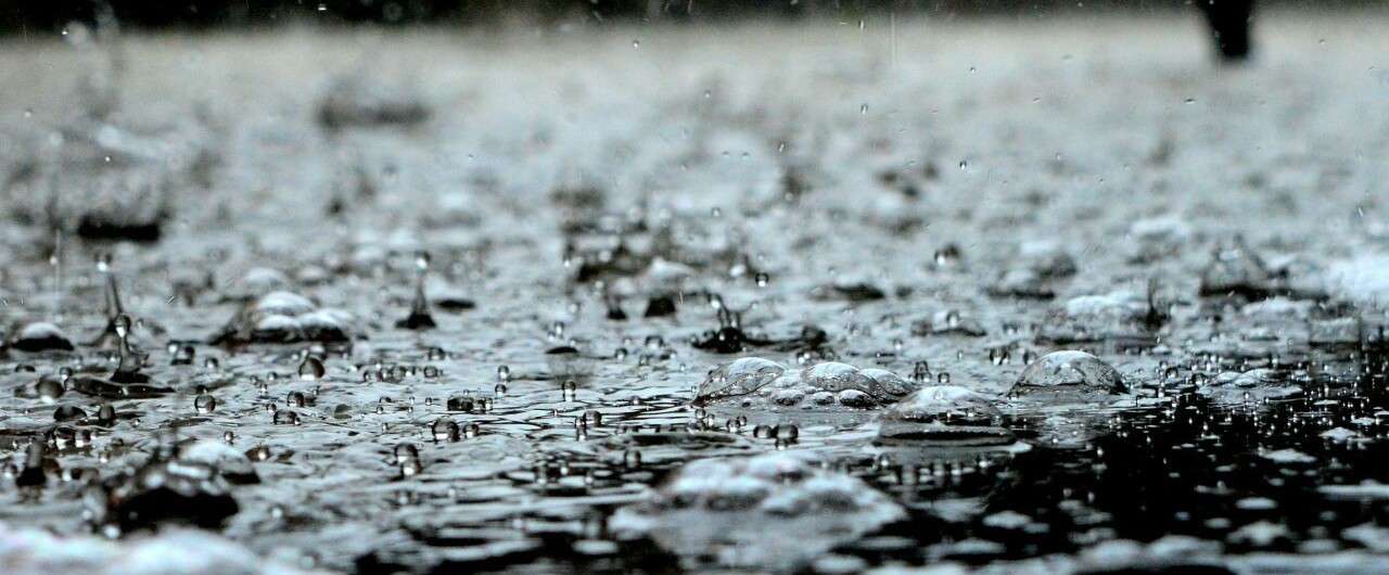 雨が降るということ そして俳句にまつわる 丸田洋渡 Note