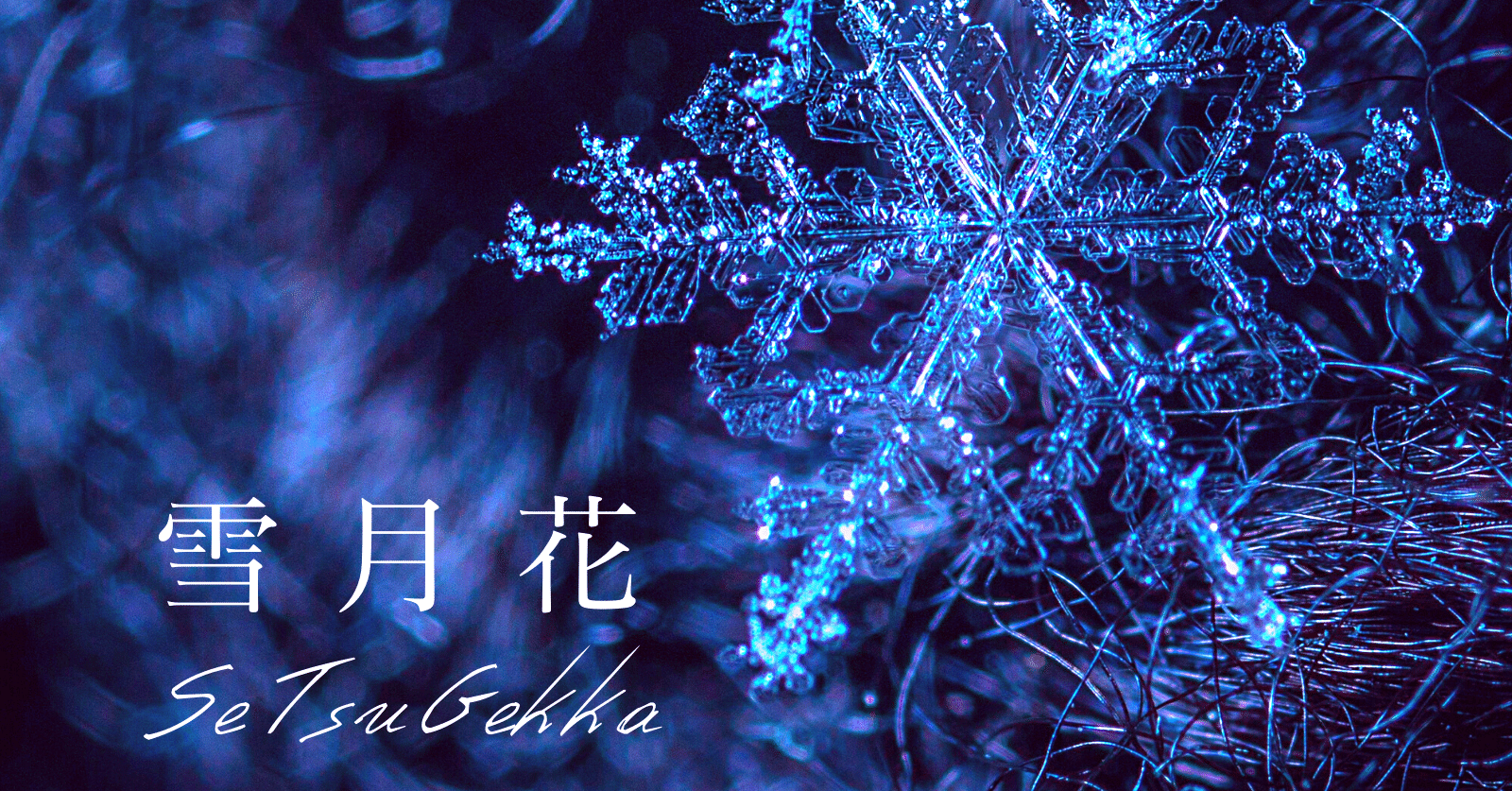 シングル「雪月花」リリースしました【楽曲解説】｜ochi [Epic