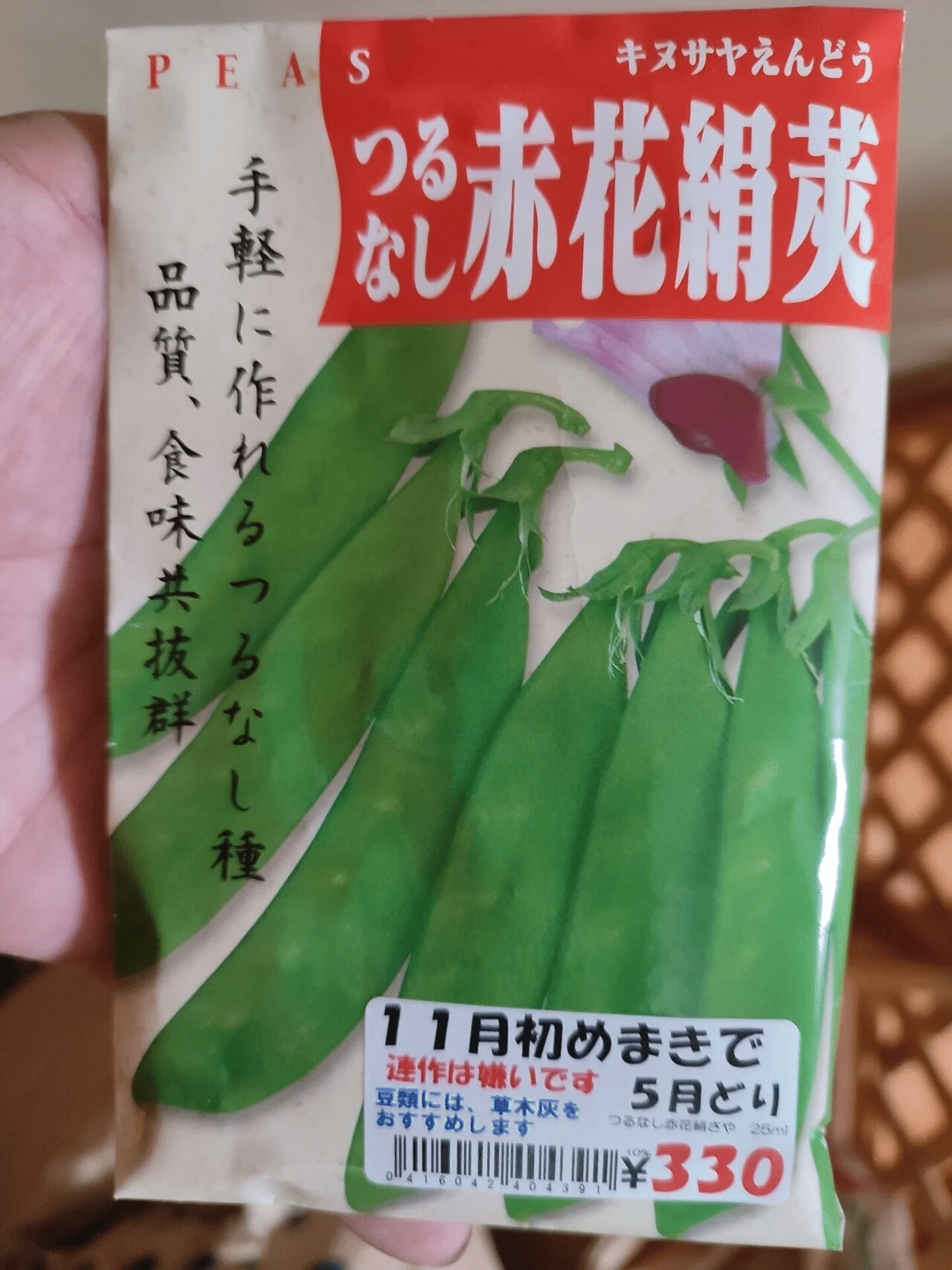 つるなし絹さやえんどう つるなし赤花絹莢 固定種 Feat 大麦 21 11 更新 ひろせ しゅんじ のんびり農園 Note