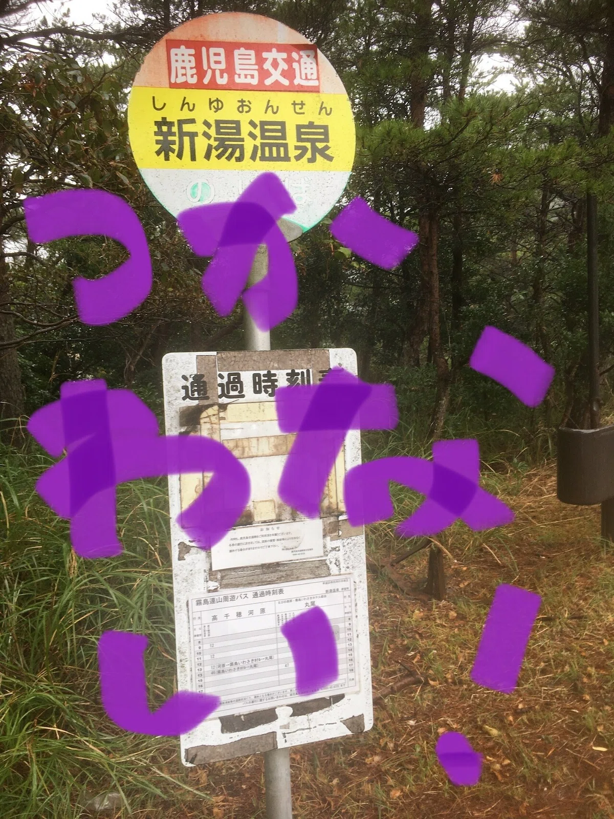 画像62