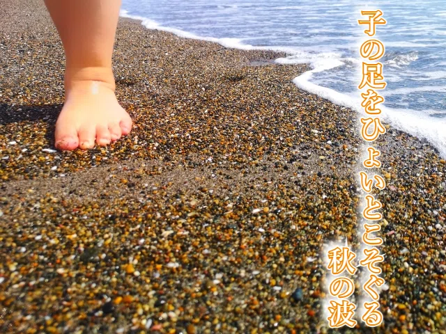 秋の波
