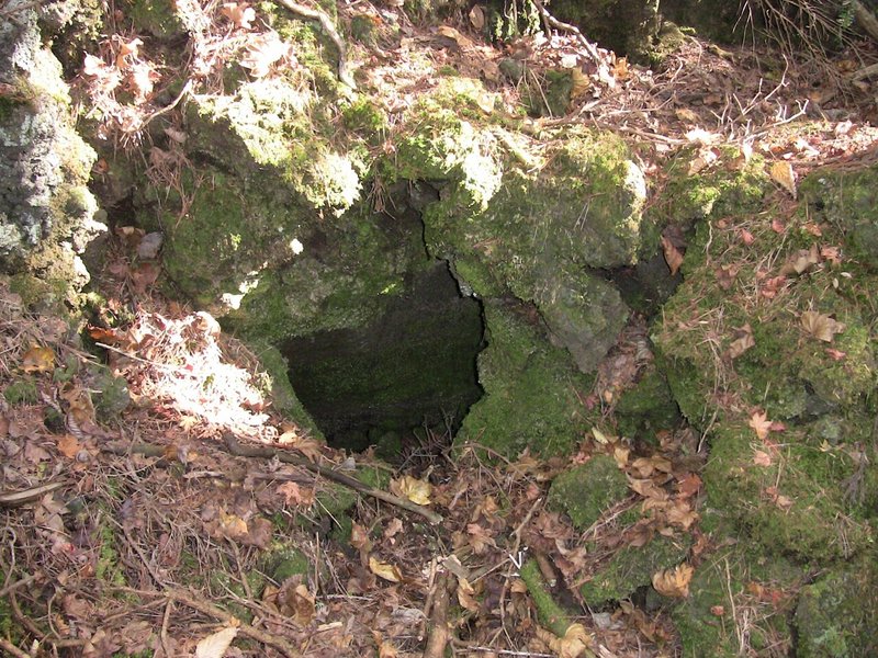 樹海の溶岩洞穴