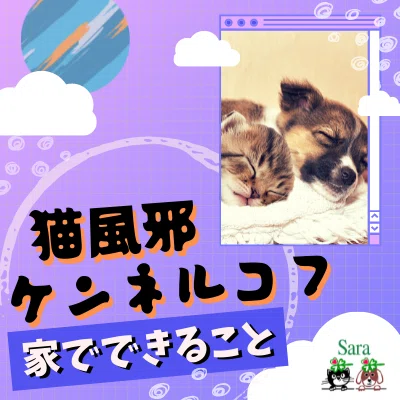 子犬 の新着タグ記事一覧 Note つくる つながる とどける