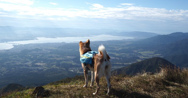 犬、山、飯、テン泊。好きなものを全部組み合わせたらこうなった。