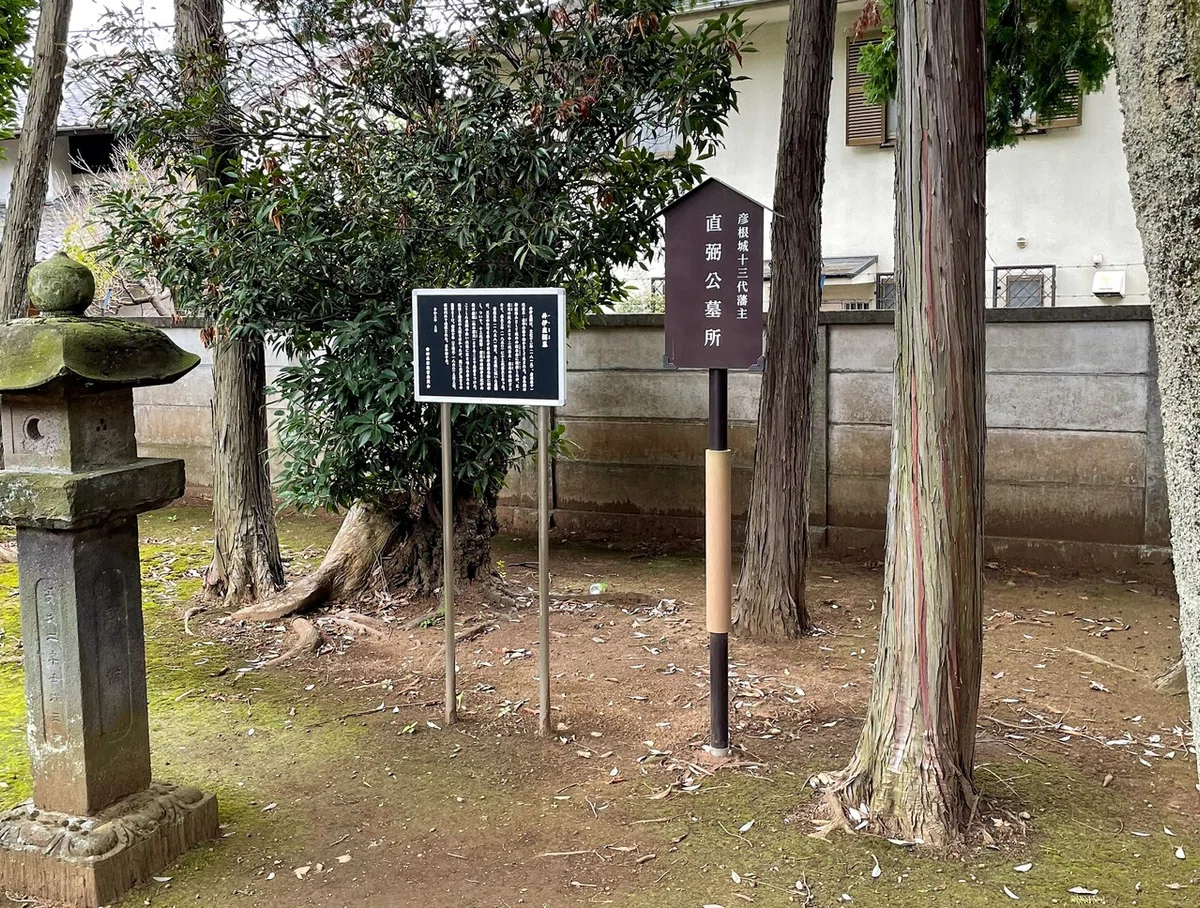画像24