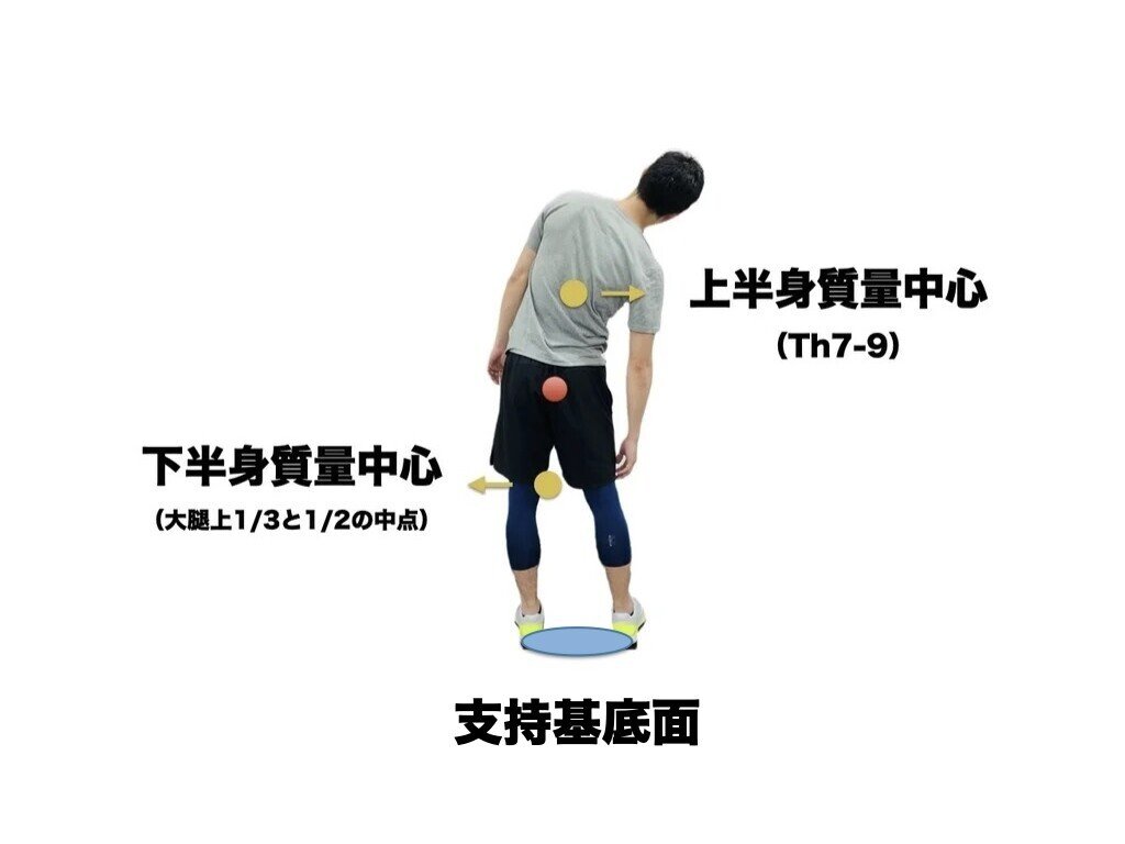 股関節が硬い 硬くなる原因 平 純一朗 理学療法士 アスレティックトレーナーnote Note