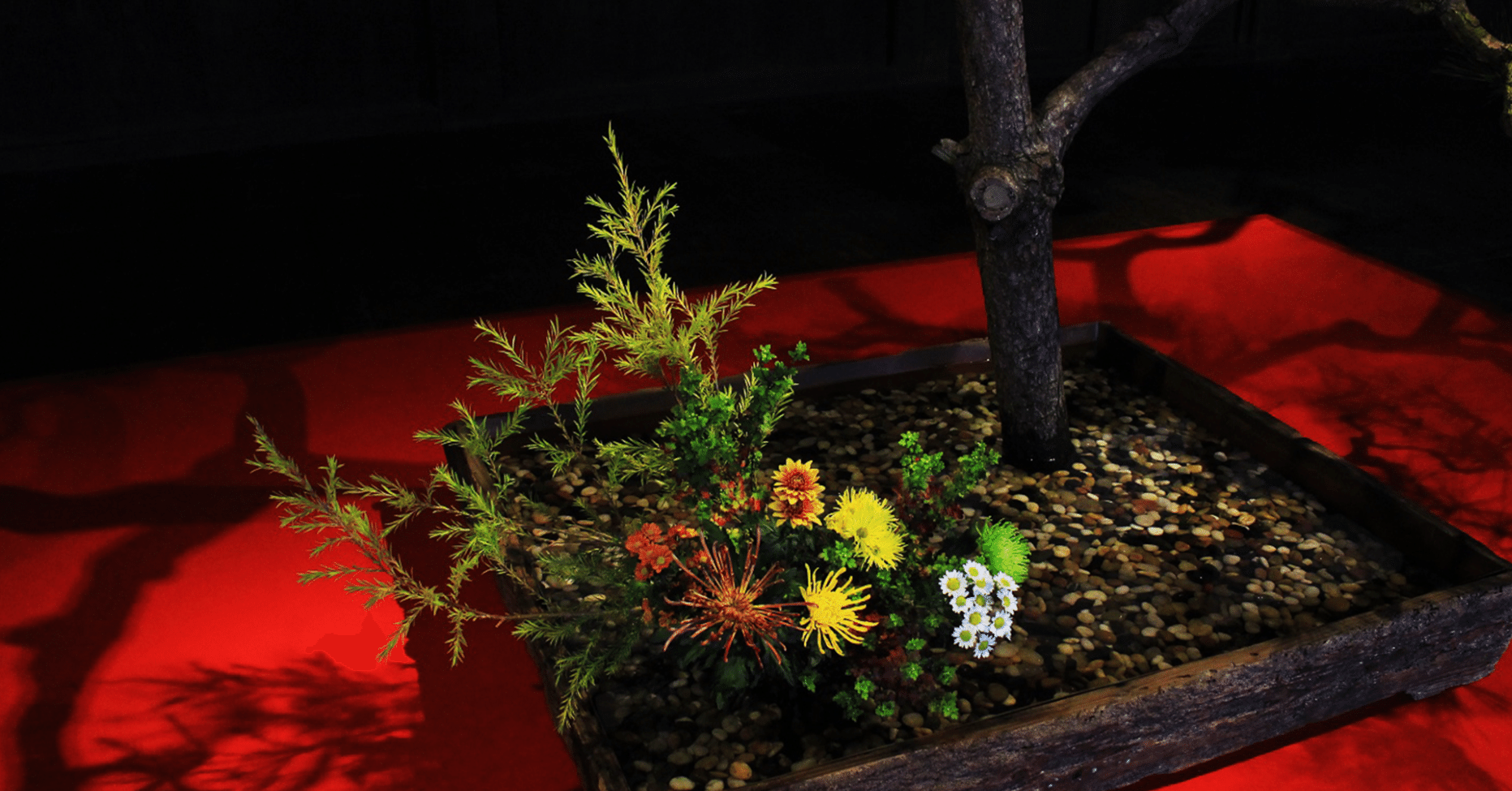 日本人にとって花は人生の師匠のような存在 ほんのひととき Note