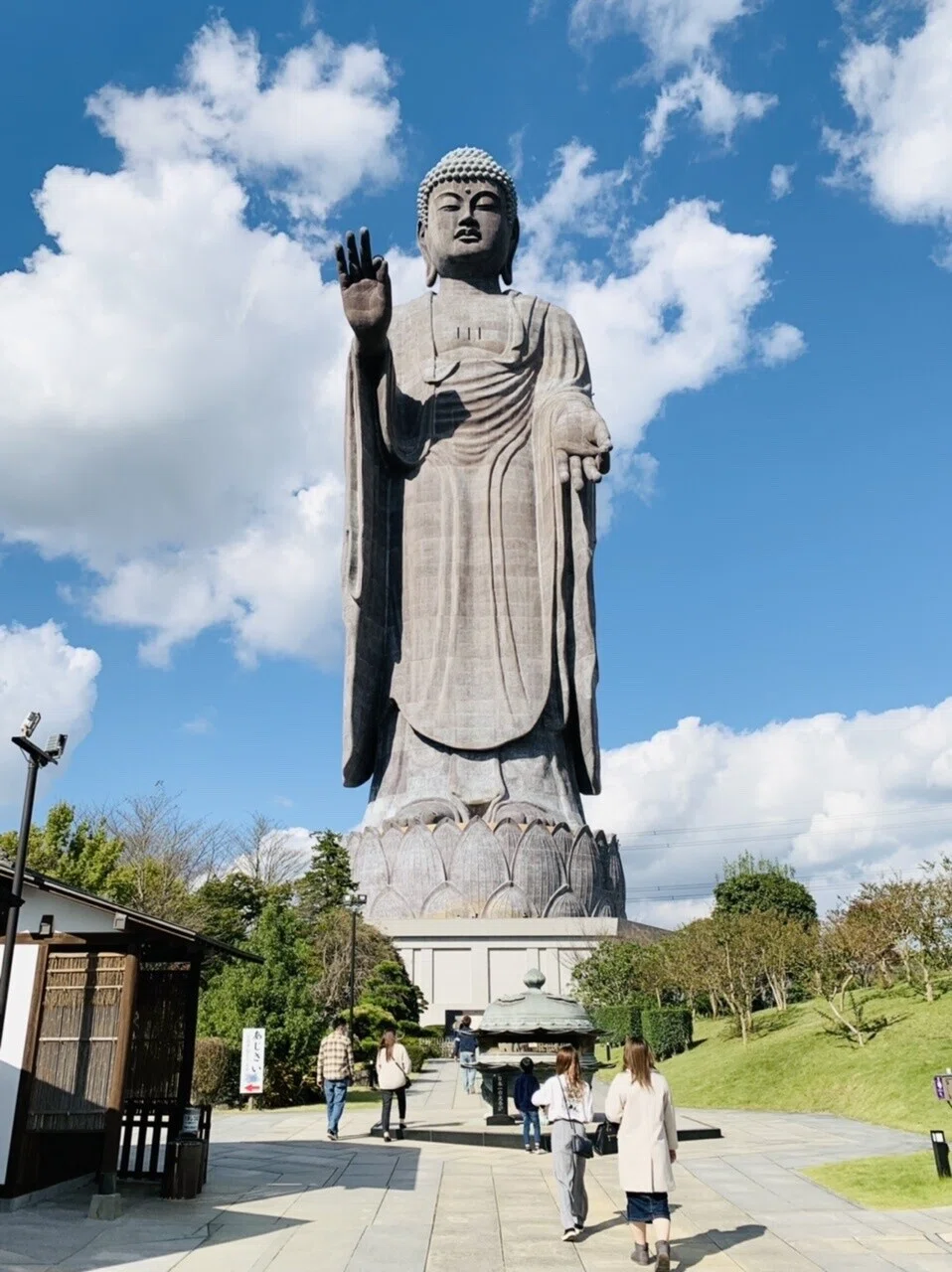 画像7