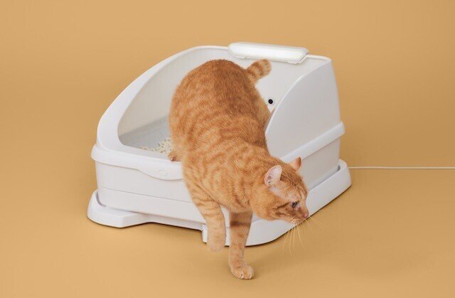 pet7サブ