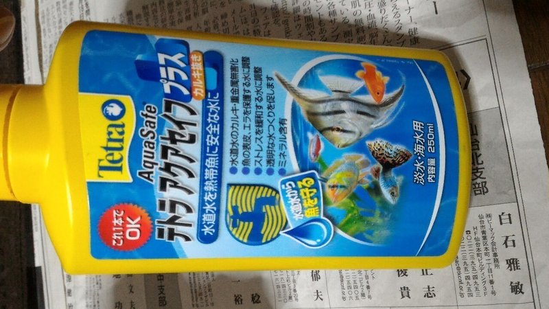カルキ抜き 時間 ベタ カルキ抜き 時間 ベタ