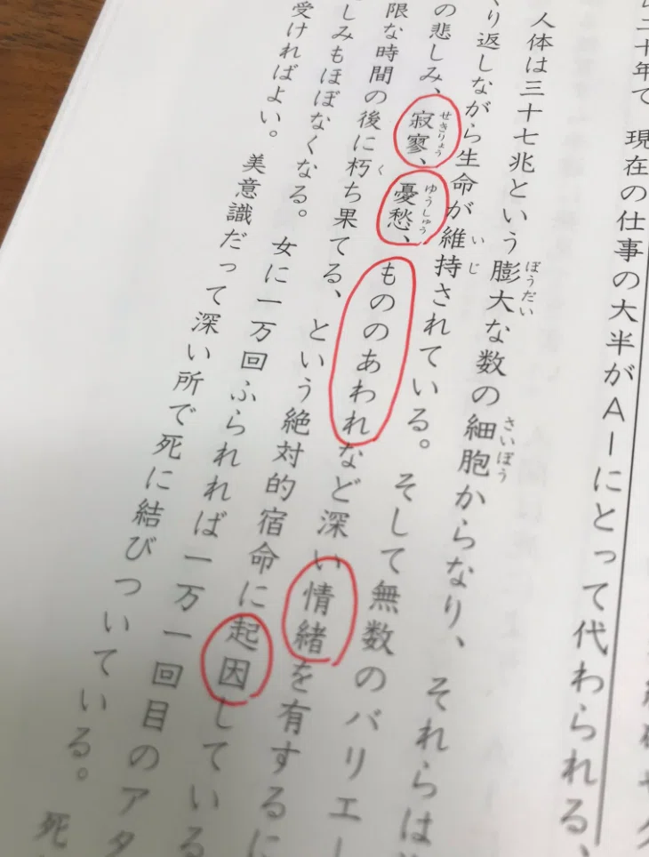 中学受験 6年生 12月のつぶやき｜jun_中学受験伴走記録