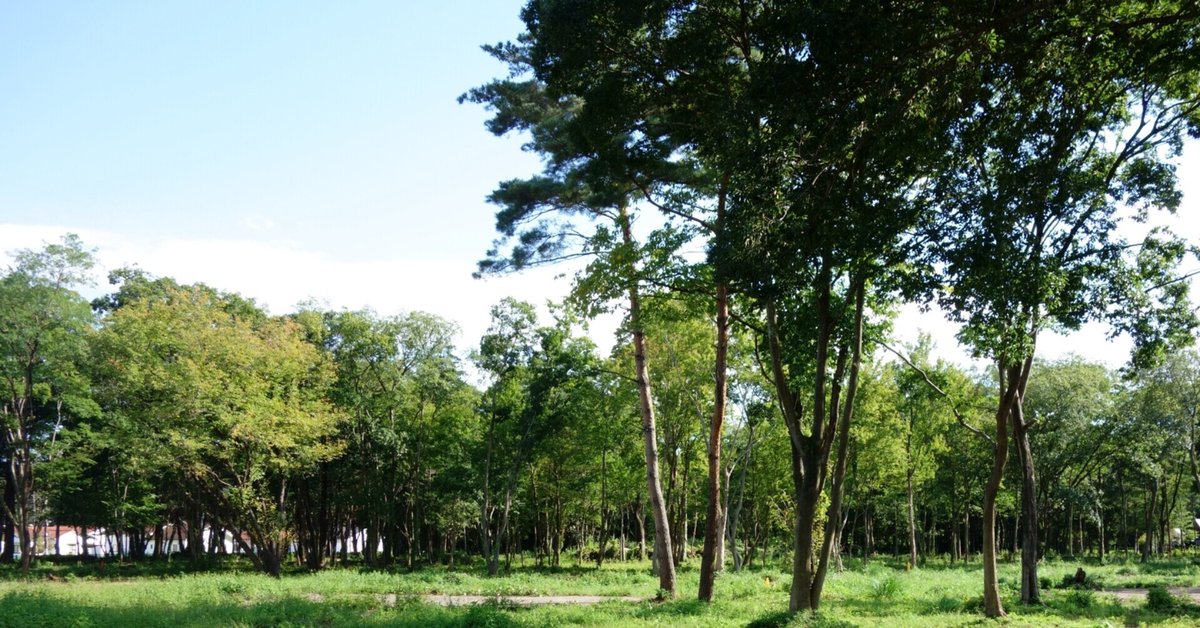 津野米咲・赤い公園の音楽 9. EDEN｜rayf