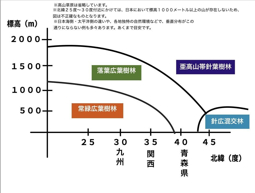 樹木図鑑 Vol 14 オオシラビソ この森は 日本じゃない Harunire0321 Note 樹木図鑑 Vol 14 オオシラビソ この森は 日本じゃない Harunire0321 Note