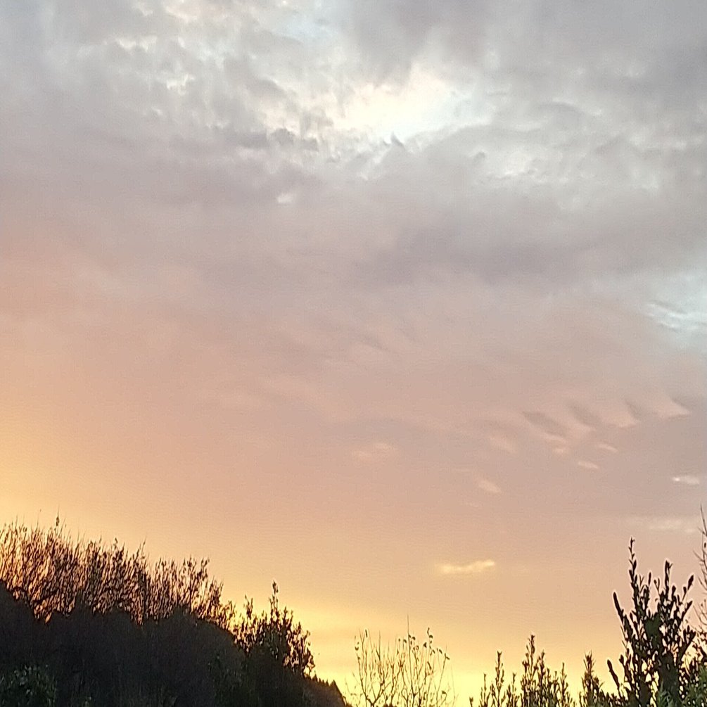 朝ぼらけの空 Mikuna Note