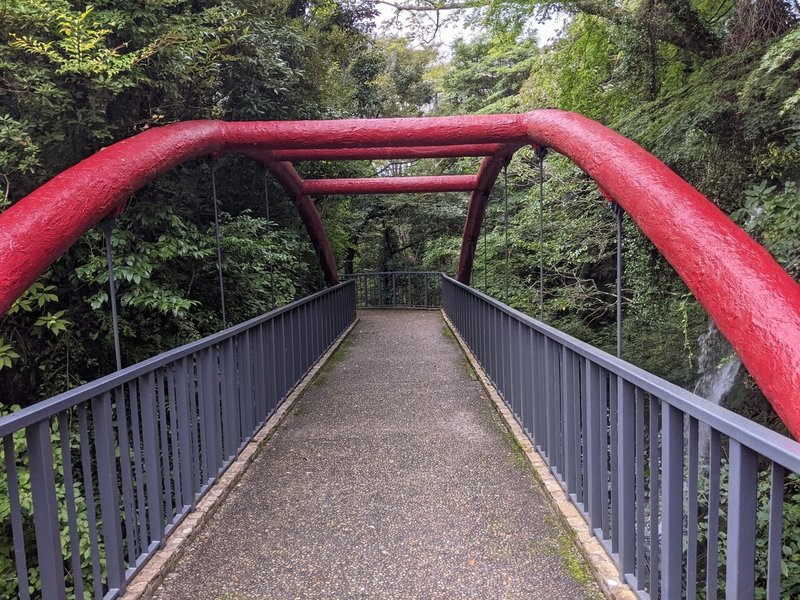 画像21
