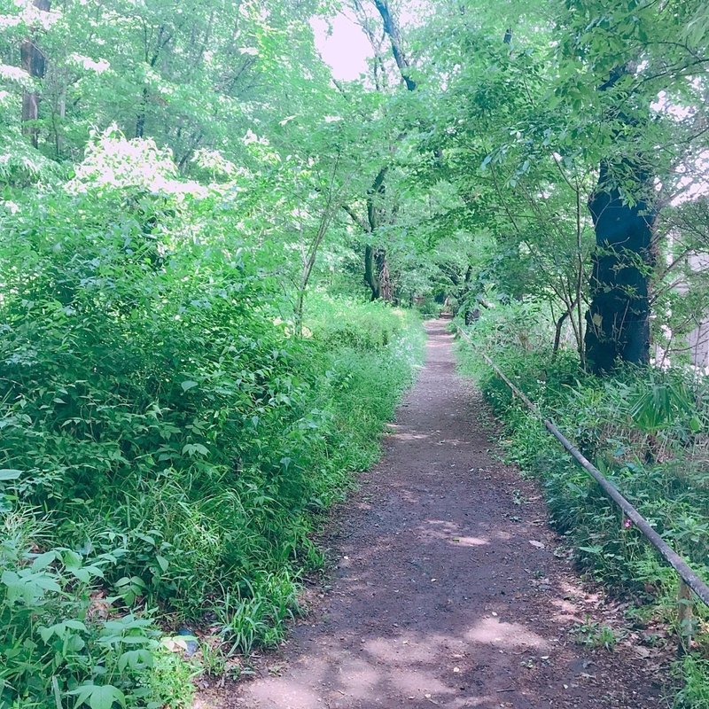 真っ赤なtシャツ Huwamoco イガラシナオ Note