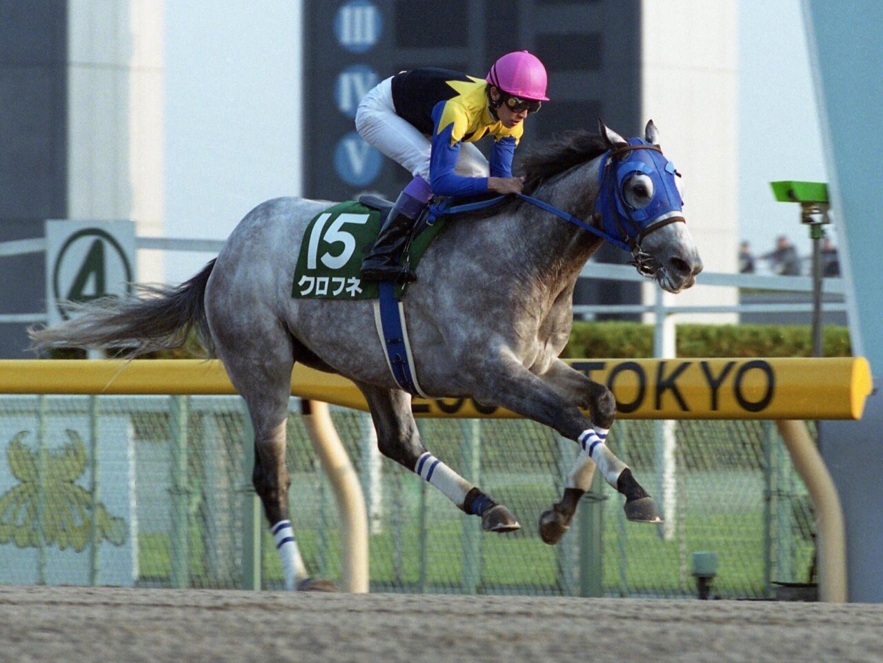 クロフネ NHKマイルC AVANTI ぬいぐるみ 競馬 Sサイズ ウマ娘 クロフネ