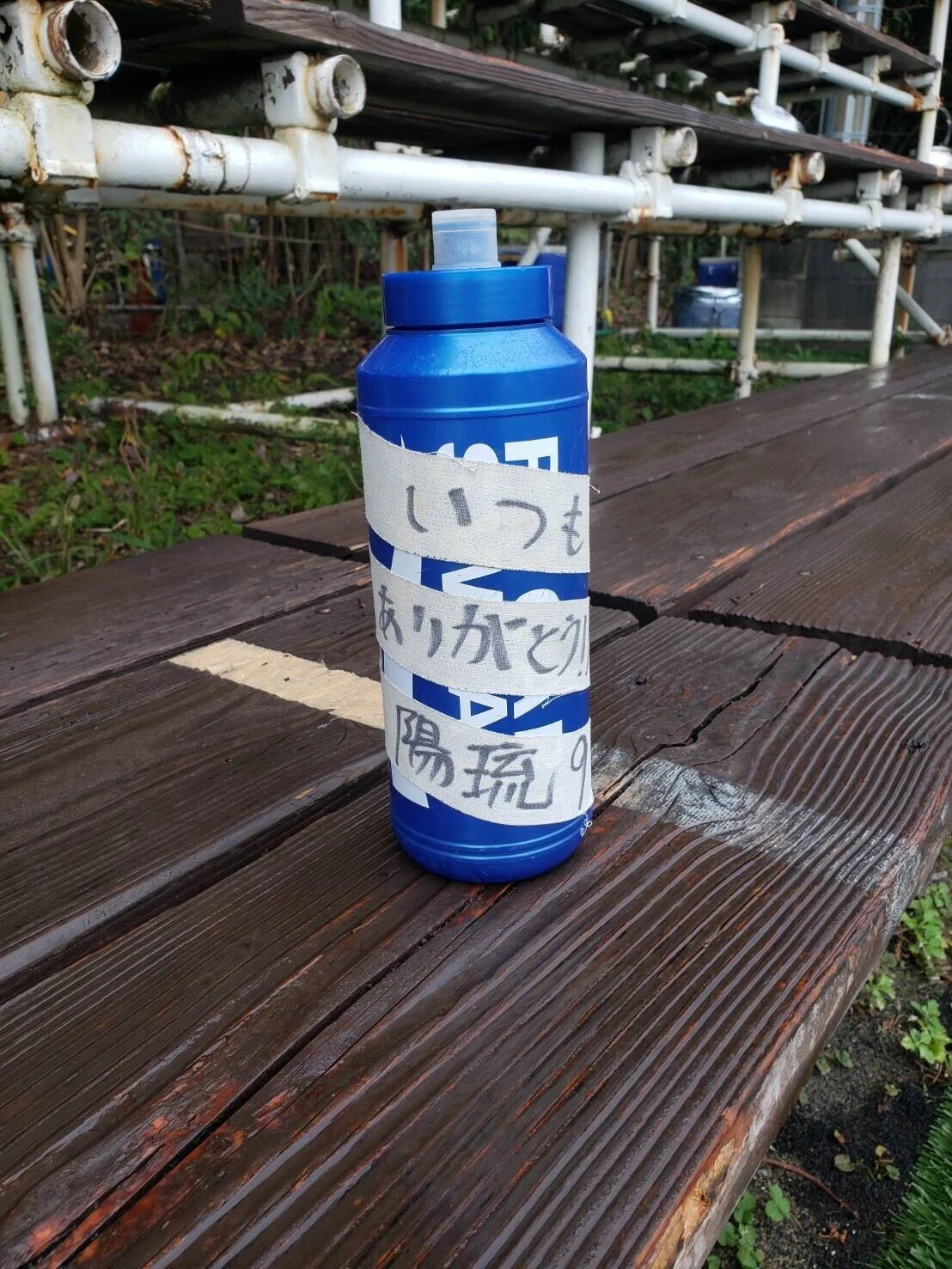 集合写真
