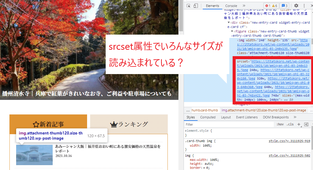 画像5