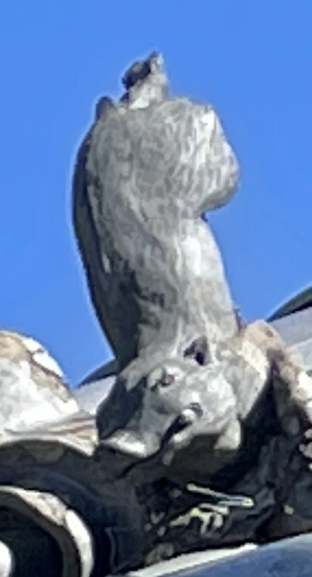 画像134