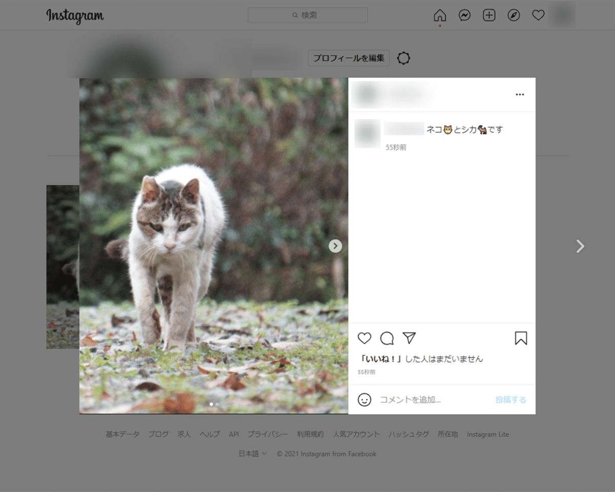 画像14
